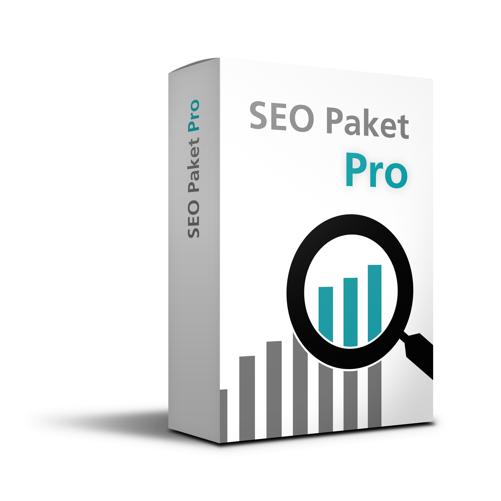 Suchmaschinenoptimierung SEO Paket Pro